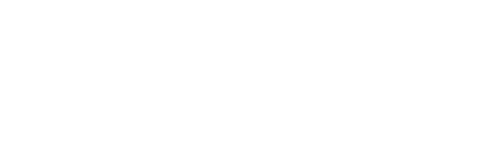 Team Livi Travel